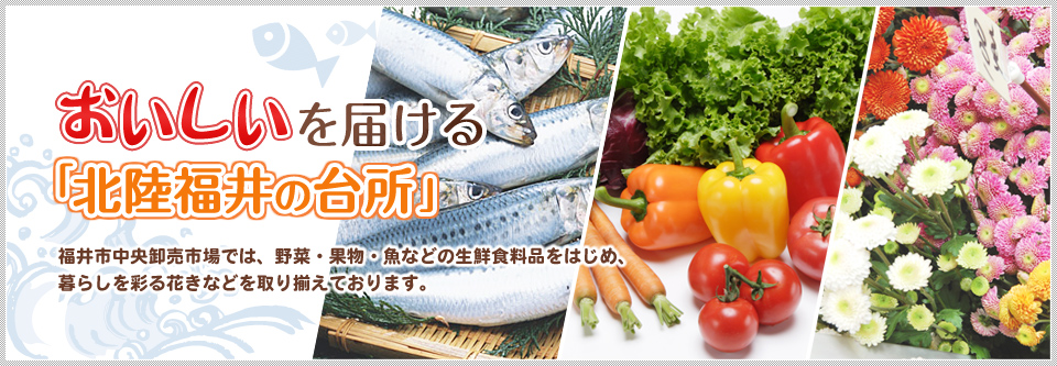 おいしいを届ける「北陸の台所」 福井市中央卸売市場では、野菜・果物・魚などの生鮮食料品をはじめ、暮らしを彩る花きなどを取り揃えております。