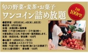 夏野菜つめ放題