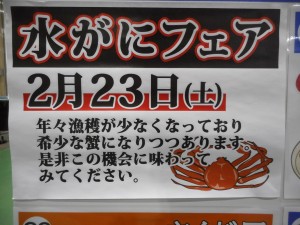 DSCN6215000