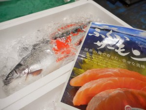 DSCN4063
