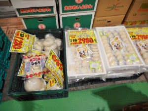 DSCN8012