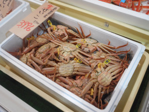 DSCN1096
