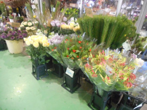 DSCN1240[1]