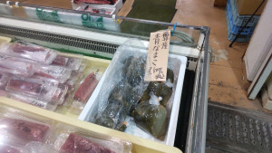なまこ