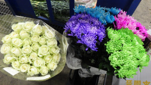 花卉_輪菊、薔薇