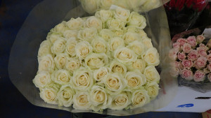 薔薇１