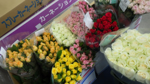 薔薇２