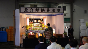 RIMG5688