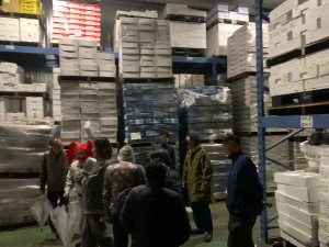 大人の市場見学会１