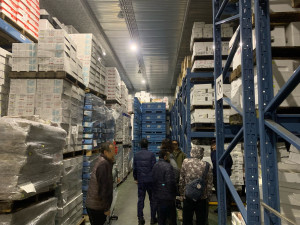 大人の市場見学会３