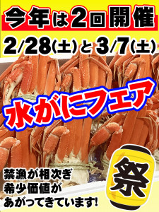 水がにフェアR08