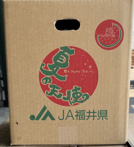 IMG_3694.jpeg